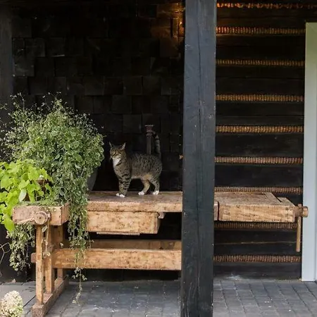 Chatka W Trawach Krakow Exterior photo